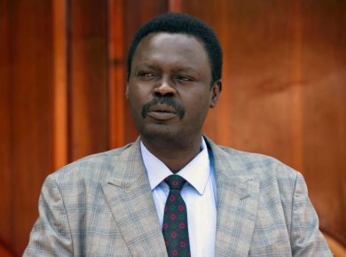 مني اركو مناوي